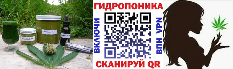 Cannafood марихуана Нефтекумск
