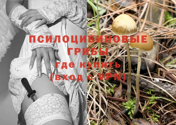 PSILOCYBIN Вязники