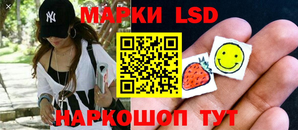kraken ССЫЛКА  ЛСД экстази ecstasy  Нефтекумск  Лсд 25 экстази ecstasy  ЛСД экстази 
