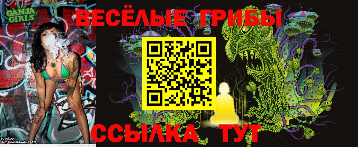 Псилоцибиновые грибы MAGIC MUSHROOMS Нефтекумск
