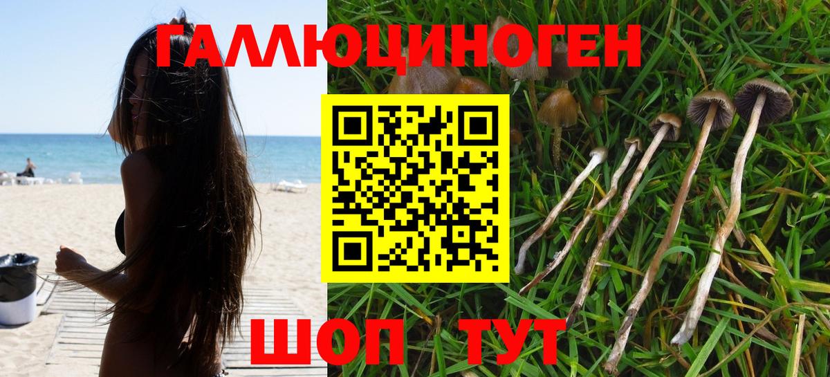 Галлюциногенные грибы прущие грибы  Нефтекумск 